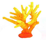 詳細(xì)參數(shù)點(diǎn)擊查看