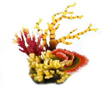 詳細(xì)參數(shù)點(diǎn)擊查看