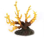 詳細(xì)參數(shù)點(diǎn)擊查看