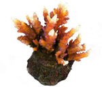 詳細(xì)參數(shù)點(diǎn)擊查看