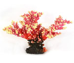 詳細(xì)參數(shù)點(diǎn)擊查看