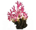 詳細(xì)參數(shù)點(diǎn)擊查看