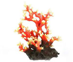 詳細(xì)參數(shù)點(diǎn)擊查看