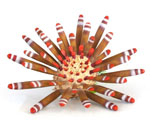 詳細(xì)參數(shù)點(diǎn)擊查看