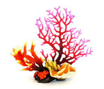 詳細(xì)參數(shù)點(diǎn)擊查看