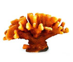 詳細(xì)參數(shù)點(diǎn)擊查看