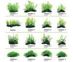 詳細參數(shù)點擊查看