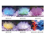 詳細(xì)參數(shù)點(diǎn)擊查看