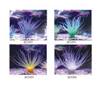 詳細(xì)參數(shù)點(diǎn)擊查看